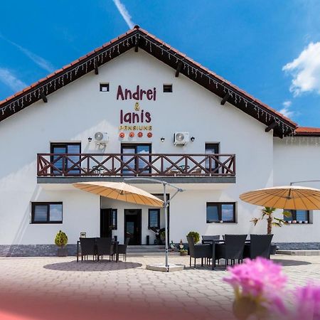 Agropensiunea Andrei&Ianis Daesti Exterior foto