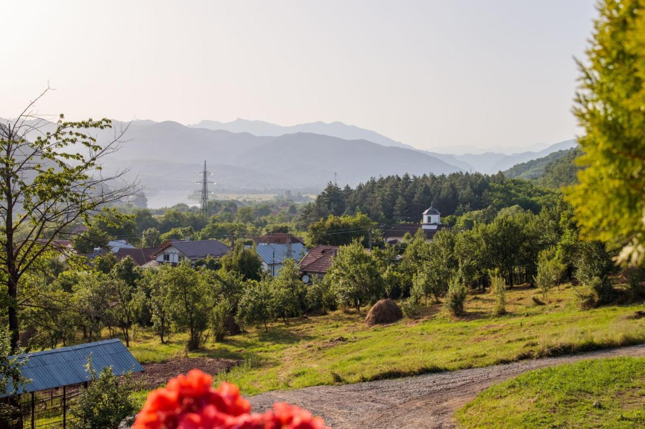 Agropensiunea Andrei&Ianis Daesti Exterior foto