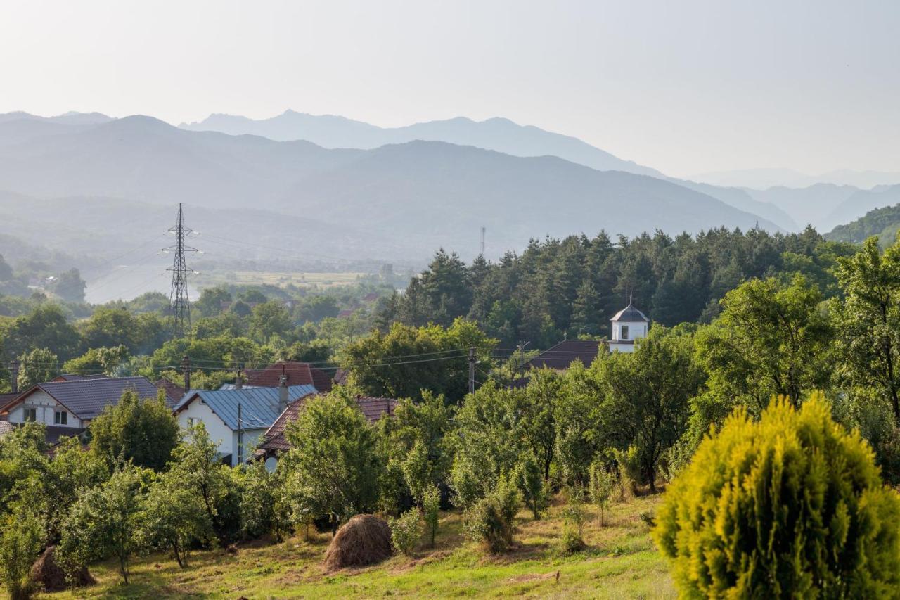 Agropensiunea Andrei&Ianis Daesti Exterior foto