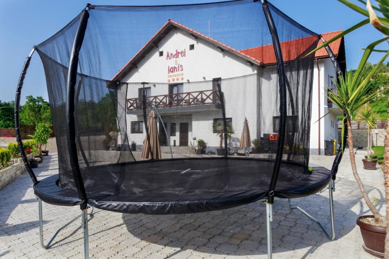 Agropensiunea Andrei&Ianis Daesti Exterior foto