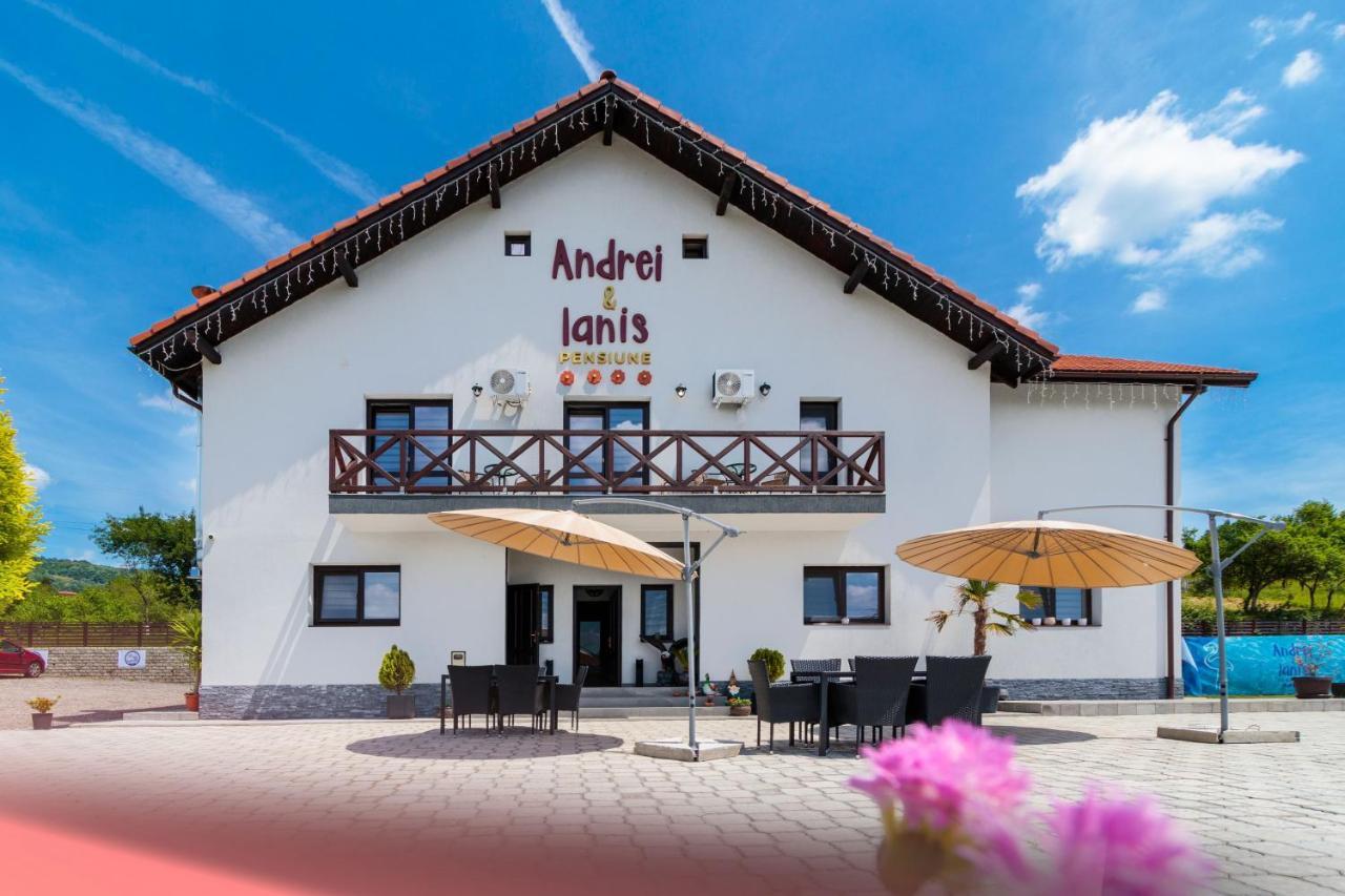 Agropensiunea Andrei&Ianis Daesti Exterior foto