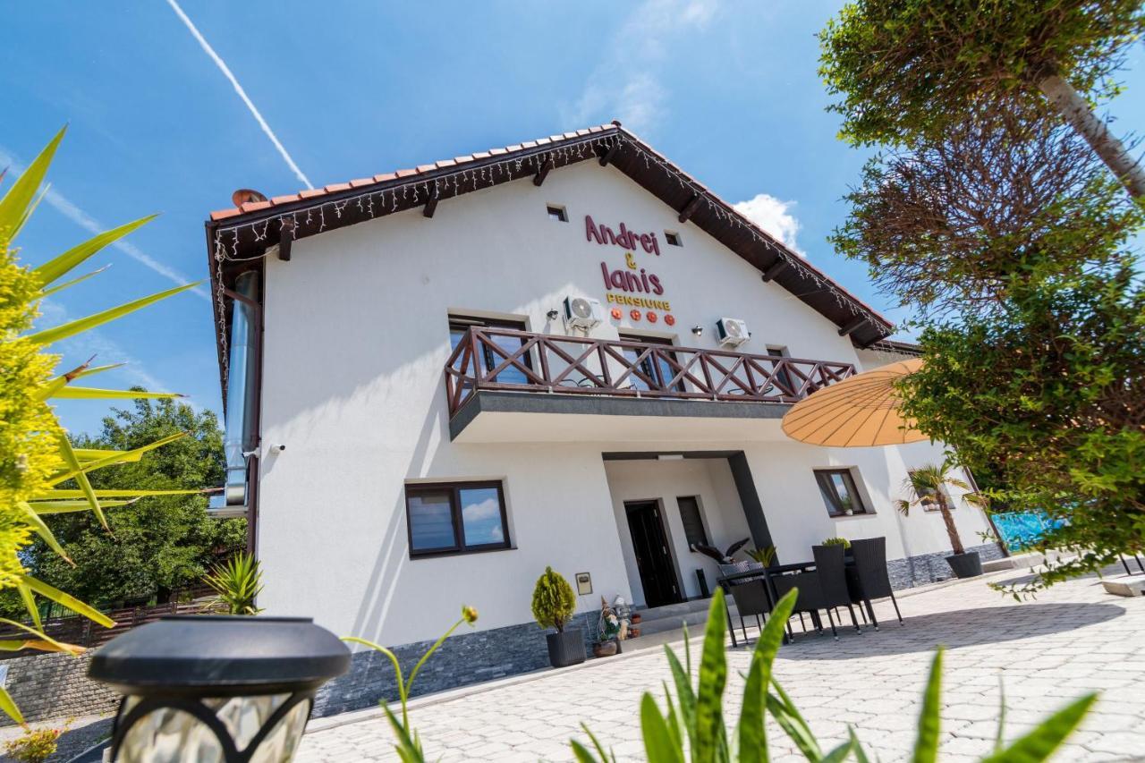 Agropensiunea Andrei&Ianis Daesti Exterior foto