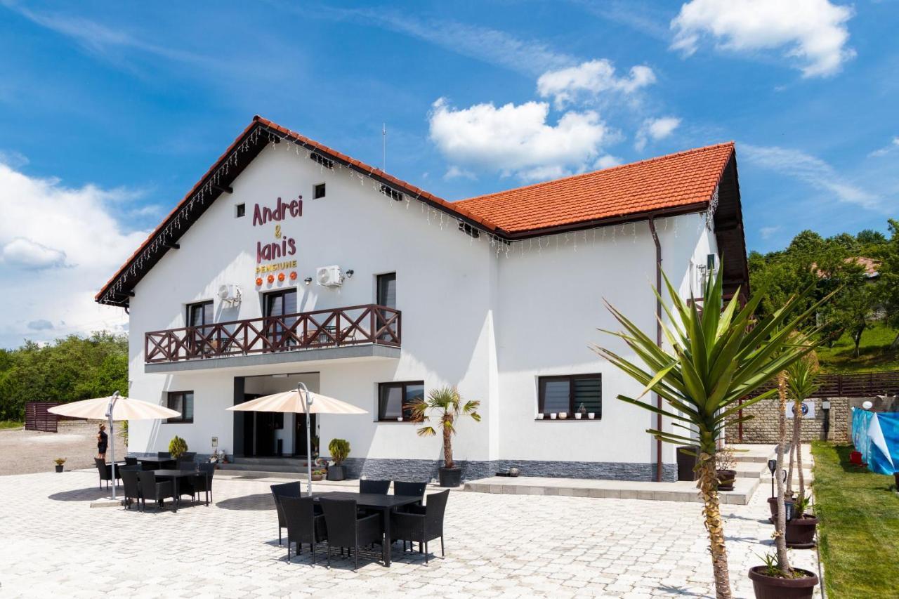 Agropensiunea Andrei&Ianis Daesti Exterior foto